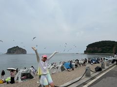 -棒棰岛宾馆景区
