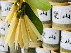 -叶婆婆钵钵鸡(乐山老店)