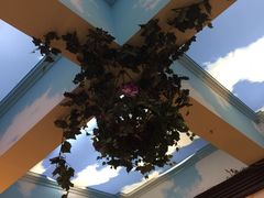 -比尔森巴西烤肉自助(红旗街店)