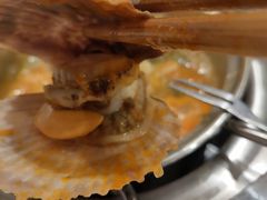蛤蜊扇贝-龍歌自助小火锅(崂山丽达店)