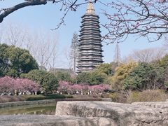 -红梅公园