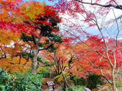 -常寂光寺