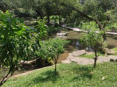 -广州市白云山风景名胜区
