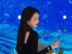 -亚特兰蒂斯•OSSIANO奥西亚诺海底餐厅
