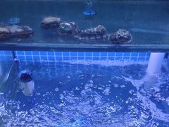 -面道赞宁海海鲜面(迎凤街店)