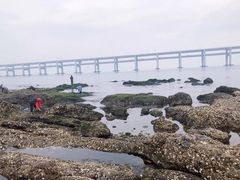 -黑石礁公园