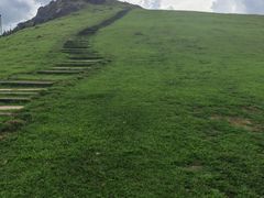 -大姆山草场