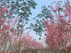 -福建鲤鱼洲酒店