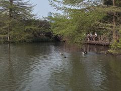 -海珠湖公园