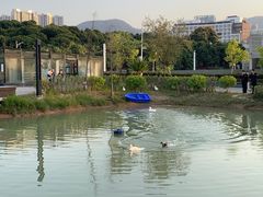 -深圳大学(丽湖校区)