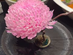 -大拙里·精致融合菜(沙湖桃源国际店)