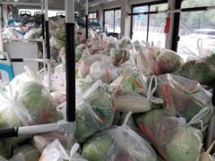 -中商平价(光谷店)