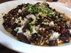 -三猫黑鱼花(南大店)