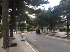 -东北大学(南湖校区)