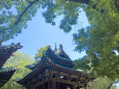 -晋祠公园