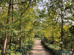 -白鹭湾湿地公园