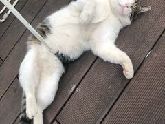 -UNI UNI(环亚凯瑟琳店)