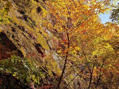 -五女峰国家森林公园