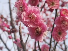 -蜀冈西峰生态公园