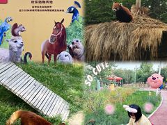 -水上乐园·欢乐世界