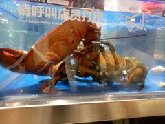 -盒马鲜生(财富中心店)
