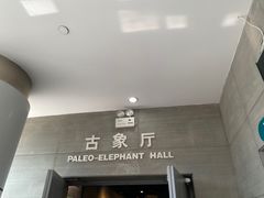 -河南自然博物馆