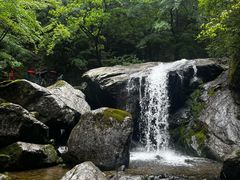 -牛背梁国家森林公园