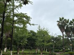 -八大山人梅湖景区
