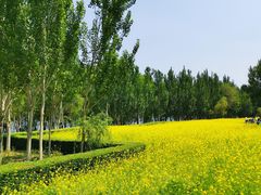 -长白岛森林公园