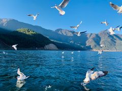 -丽江泸沽湖景区