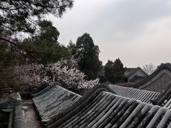 -颐和园