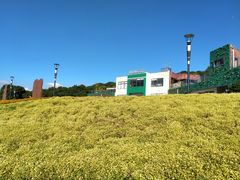 -立新湖公园