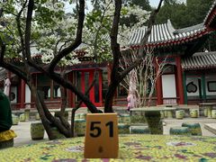 -宫事颐庭·老佛爷贵寿下午茶(颐和园店)