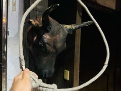 -暴风岛沉浸式体验馆(百联世纪店)