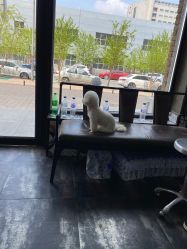 -無名发艺
