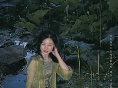 -莲湖公园