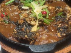 -老板恋上鱼(恒隆广场店)