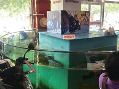 -旗利摩托(旧宫店)