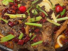 -老板恋上鱼(恒隆广场店)