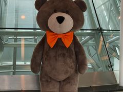 -济州岛泰迪熊博物馆