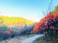 -鬼笑石后山停车场