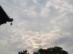 -北陵公园