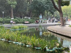 -常州古运河南大街文化旅游区-人民公园