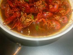 -京悦南门涮羊肉·羊蝎子火锅(田林路店)