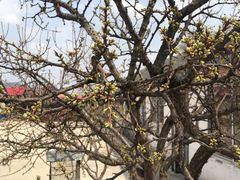 -庆岭迎宾园正宗活鱼馆