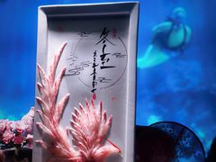 深海鱼姿造刺身拼盘-海游荟·海洋文化餐厅(福田店)