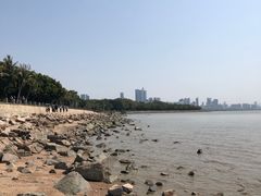 -深圳湾公园(南山区)