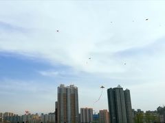 -西安青龙寺遗址景区