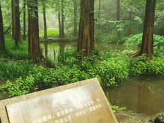 -虎跑公园