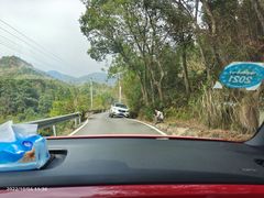 -长沙黑麋峰国家森林公园